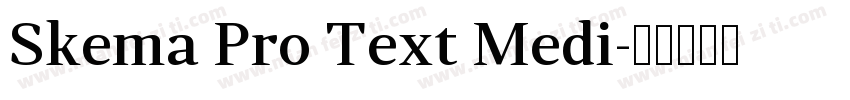 Skema Pro Text Medi字体转换
